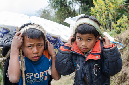 ANNAPURNA , NEPAL - NOVEMBER 23  Young porters carry heavy load at ABC route in the Himalaya, Nepal on November 23,2013 ,annapurna, Nepalのeditorial素材