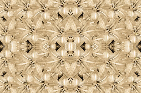 amaryllis flowers backgroundの写真素材