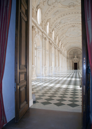contrast of light in the great hall of the Palace of Venariaのeditorial素材