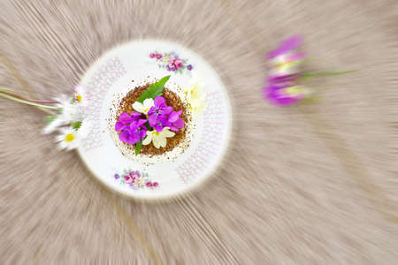 The panna cotta with cocoa and decorated with fresh spring flowersの写真素材