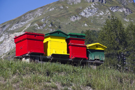 colored hues in the mountains