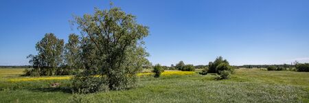 Sunny summer rural landscape with river, fields, trees and blue sky. Estonia