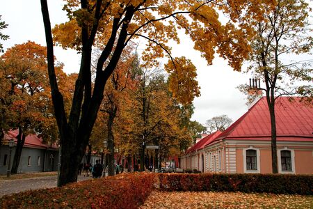 St. Petersburg, Russia, October 4, 2018. Peter and Paul Fortress is decorated with yellow and red autumn leavesのeditorial素材