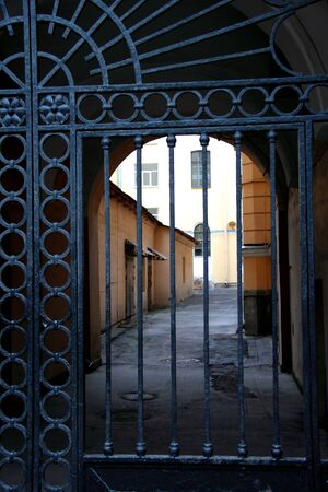 Close-up of an old cast-iron fence, vertical. View of the courtyard through forged cast gates