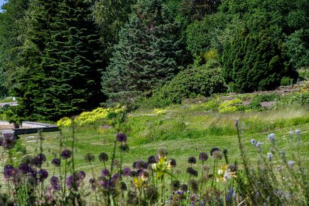Beautiful landscape design in the Botanical garden of Tallinn, Estonia
