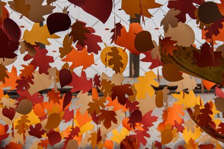 Festive decoration with colorful autumn leaves. Autumn holiday background.
