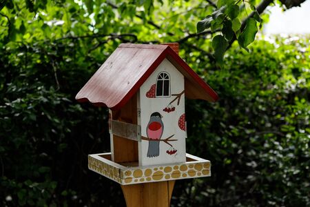 Moscow, Russia, 07.18.2019 Beautiful colorful bird feeder in the forest. The concept of respect for nature. Care of birds in winter.のeditorial素材