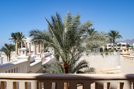 Blue sky and green openwork palm leaves on the background of bright elements of the architecture of the hotel on a sunny day. Rest, Africa, Egypt, Sharm el-Sheikh.のeditorial素材