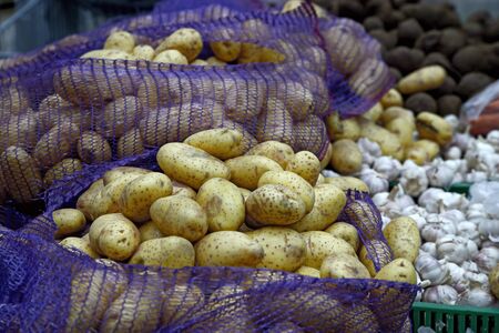 Seasonal vegetables are stacked in boxes at the grocery store. Near lie large tubers potatoes and a useful garlic. Organic food.の写真素材