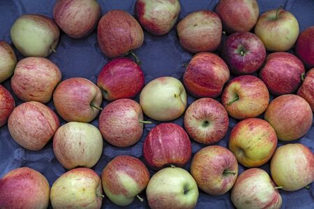 Seasonal fruits are placed in boxes in the grocery store. Close-up of fresh delicious apples....