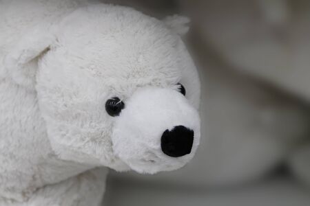 Big toy polar bear on the shelf in the children's toy storeの写真素材
