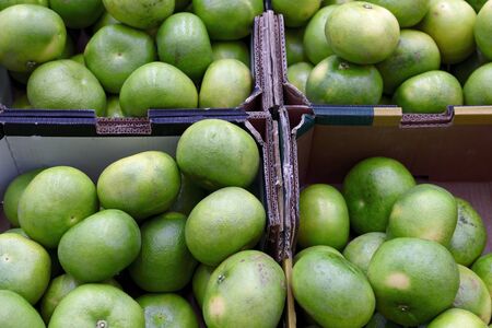 Grapefruit harvest. Background texture. Grapefruit on a grocery store shelf, close-up. Exotic fruits in the supermarket.の写真素材