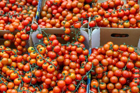 Red tomatoes healthy vegetables in carton box as food background. Supermarket retail.の写真素材