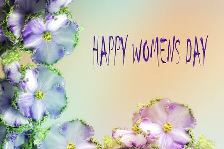 Pink and blue violet colors on a pastel background with copy space for greeting message. Mother's day and spring background conceptの写真素材