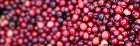Frozen cranberries in a grocery store shot close-up, blurry background. Bright red cranberries...