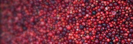 Frozen cranberries in a grocery store shot close-up, blurry background. Bright red cranberries...
