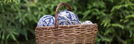 White-blue fluffy woolen balls in a basket on a background of green branches of spruce. Horizontal banner yarn for knitting.の写真素材