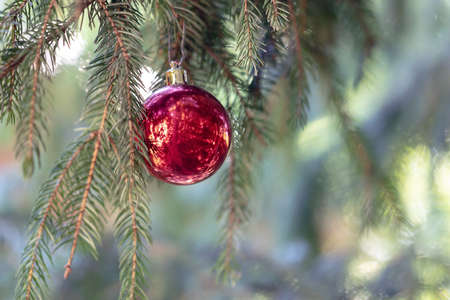 Christmas decoration, bauble ball hanging on fir tree over abstract bokeh background, selective focusの写真素材