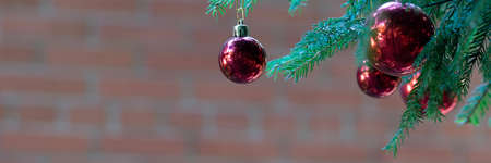 red Christmas balls with reflection decorate the green branches of the Christmas tree. Winter holidays. Xmas theme with space for textの写真素材