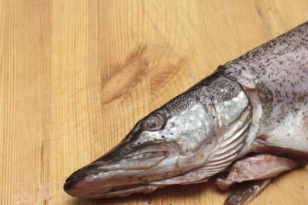 Pike prepared for cooking. Fresh cut fish. Dietary product. Ready to cook. Banner format. Copy space...