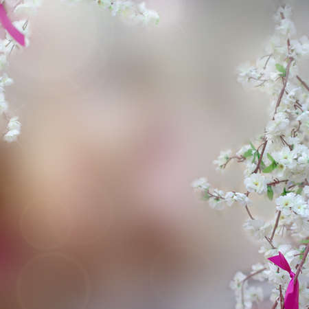 Blurred abstract background with white apple flowers as a border. Soft focus, Spring floral...