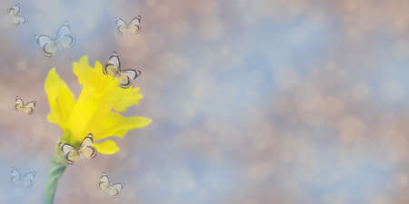 Spring abstract background of soft pastel pink and blue flowers with blurred silhouette of yellow...