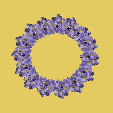 Round frame from blue primroses on yellow backgroundの写真素材