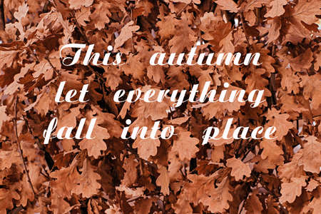 Life and inspiration quote about hope to start the new beginning on background orange autumn branchesの写真素材