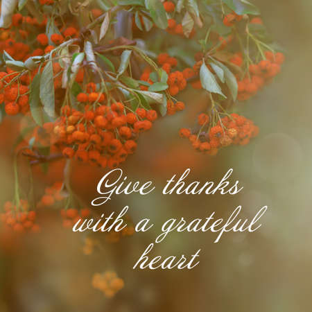 Gratitude inspirational quote. Give thanks with a grateful heart. Thanksgiving concept with natural...