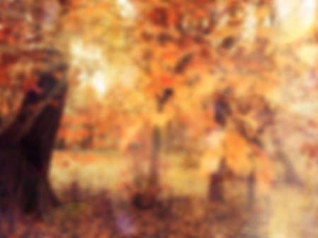 Autumn foliage on trees over sun light in garden or park. Blurred fall nature backgroundの写真素材
