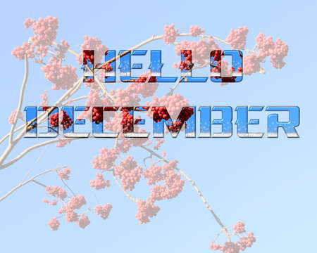 Nature December background with message Hello December. Text on the background of rowan branches with bright red berries and blue clear sky.の写真素材