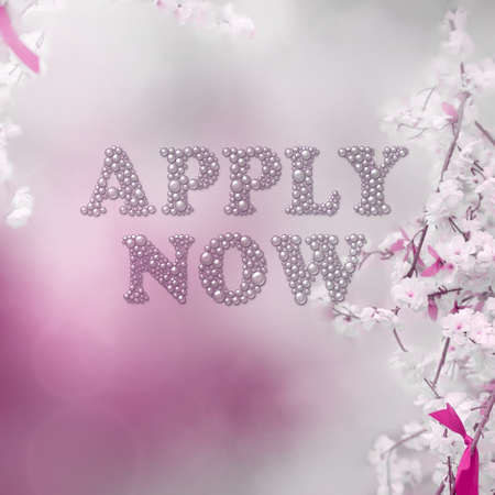 APPLY NOW message on pink background with spring flowersの写真素材