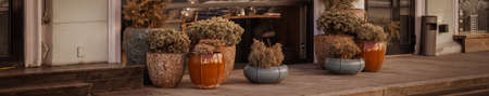 View from the street to the entrance to a cozy cafe. Flowers in pots at the entrance to a cafe in...