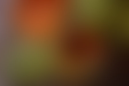 Soft gradient colored background in autumn colors. Gradient brown background. Abstract backdrop in brown tones for your design. An elegant template for your design. Gradient brown light.の写真素材