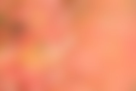 Soft gradient color background in autumn colors. Gradient yellow orange background. Gradient golden light. Abstract background in golden colors for your design. Elegant template for your design.の写真素材