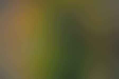 Soft gradient color background in autumn colors. Gradient yellow orange background. Gradient golden light. Abstract background in golden colors for your design. Elegant template for your design.の写真素材