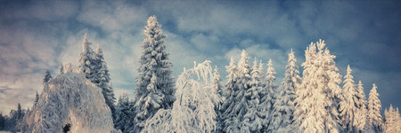 Beautiful winter landscape with snow covered trees. digital painting.