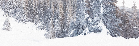 Cold nature outdoor, winter landscape painting with fir trees, forest from afar, snow field and cold environment for illustration, background, digital, printing, etcの写真素材