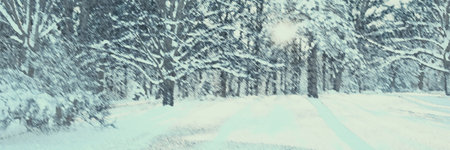 Cold nature outdoor, winter landscape painting with fir trees, forest from afar, snow field and cold environment for illustration, background, digital, printing, etcの写真素材