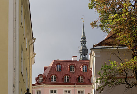The tower of Church of the Holy Spirit Tower above the roofs of the houses of the old city on a summer day. Sights of Tallinnの写真素材