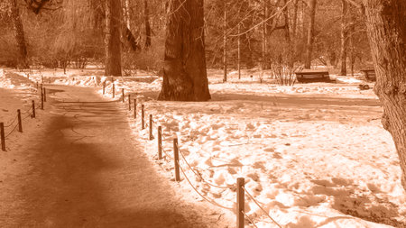 Spring background in peach tones. Early spring. The beginning of warm days. Seasons. Park alley at the end of winter. Walks in the open air. Selective focus.の写真素材