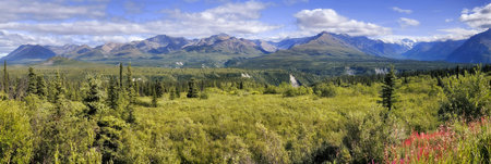 Woods at Chugach Mountains in Alaska. Pastoral panorama of the Chugach mountains and forest southeast of Anchorage Alaska with green meadows in the foregroundの写真素材