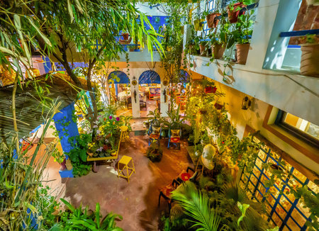 Inside the courtyard of the hotel. Typical interior of a cozy place to relax with tropical plants,...