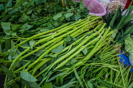morning glory vegetables in the marketの写真素材