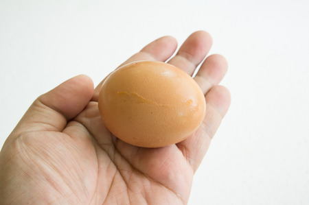 egg hand hold one human thumb indexの写真素材
