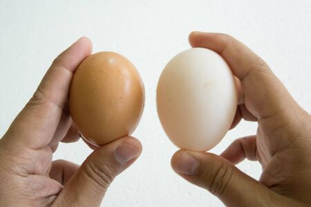 egg hand hold one human thumb index