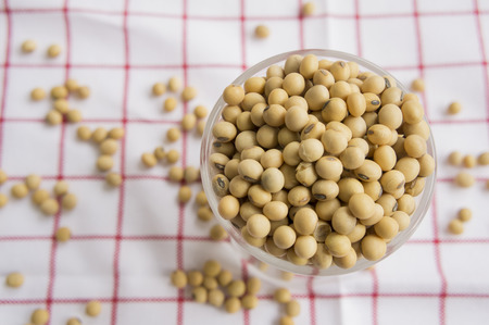 soybean milk grain natual vegan Asian dietの写真素材