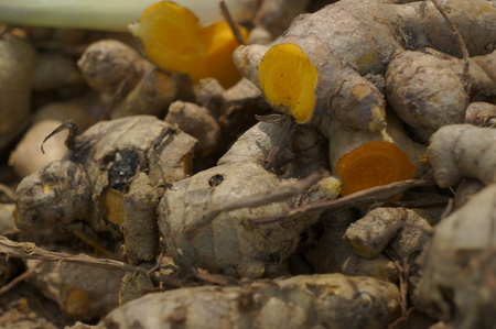herbal medical herb Thai traditional massage prepare