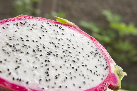 dragon fruit pitahaya pitaya tropical healthy Thaiの写真素材