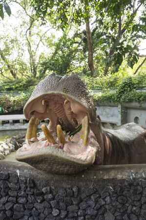 big hippo mammal feeding